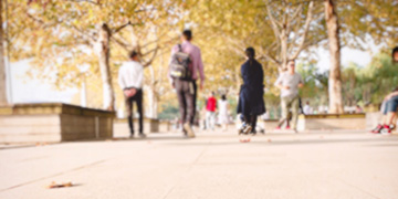 旬阳小二专业优势